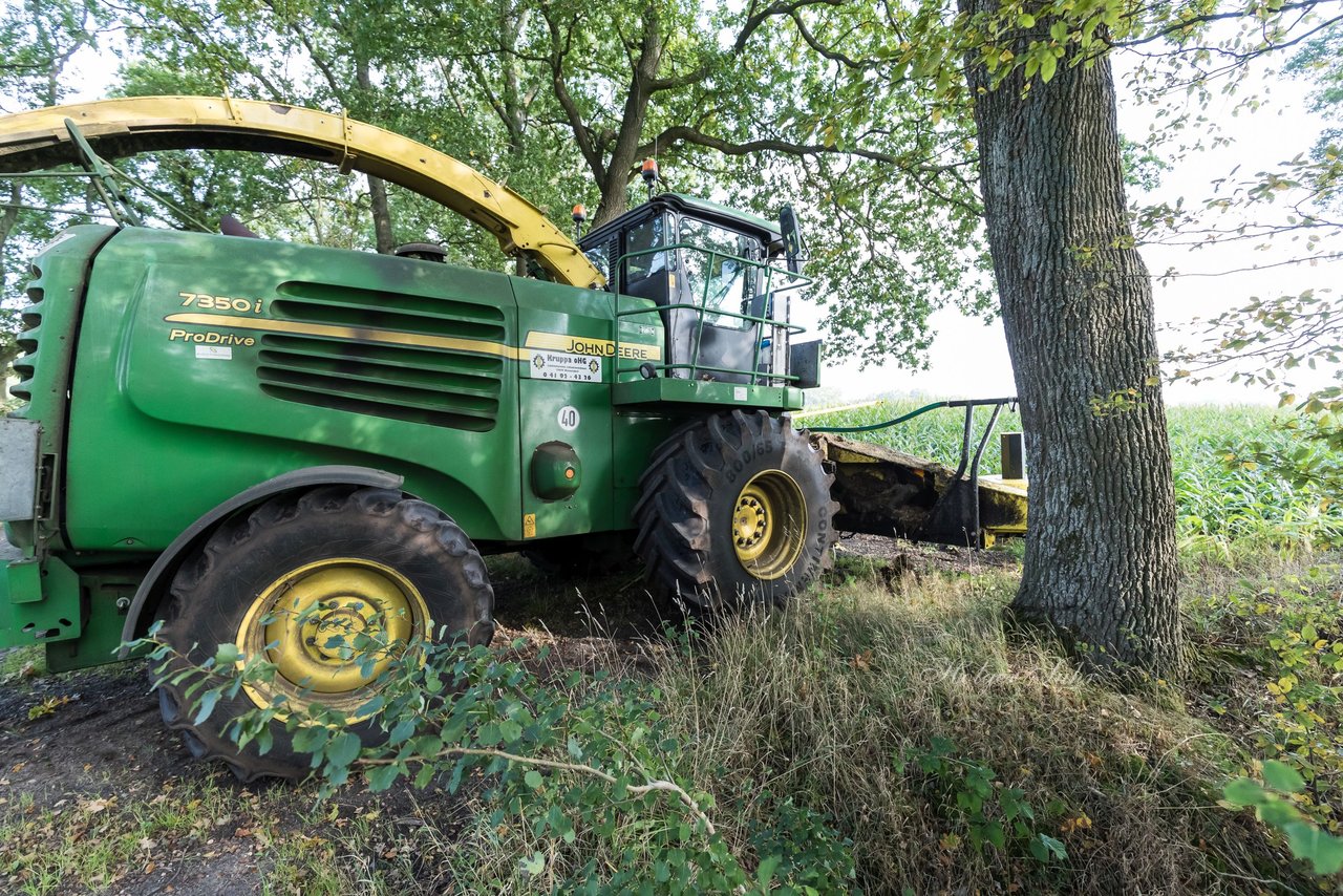 Bild 184 - Maisernte